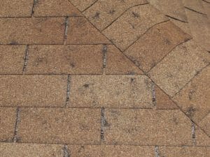 close up of hail damage on roof shingle