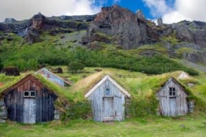 roof with grass growing on it