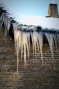 Roofers in Colorado image