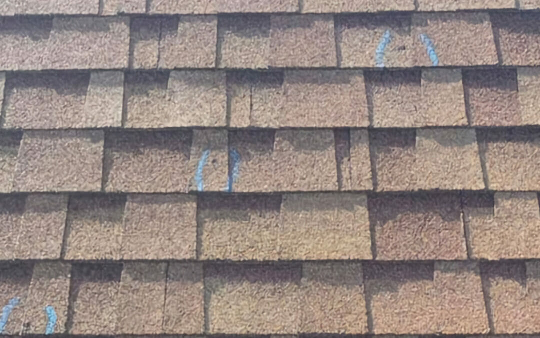 Composition Shingles